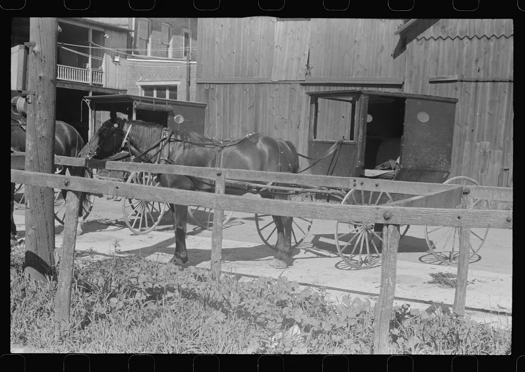 [Untitled photo, possibly related to: Amish wagon, Plain City, Ohio], 1938