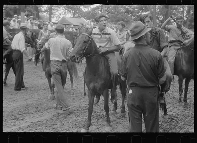 [Untitled photo, possibly related to: Lineup for pony race at county…, Ohio, 1938