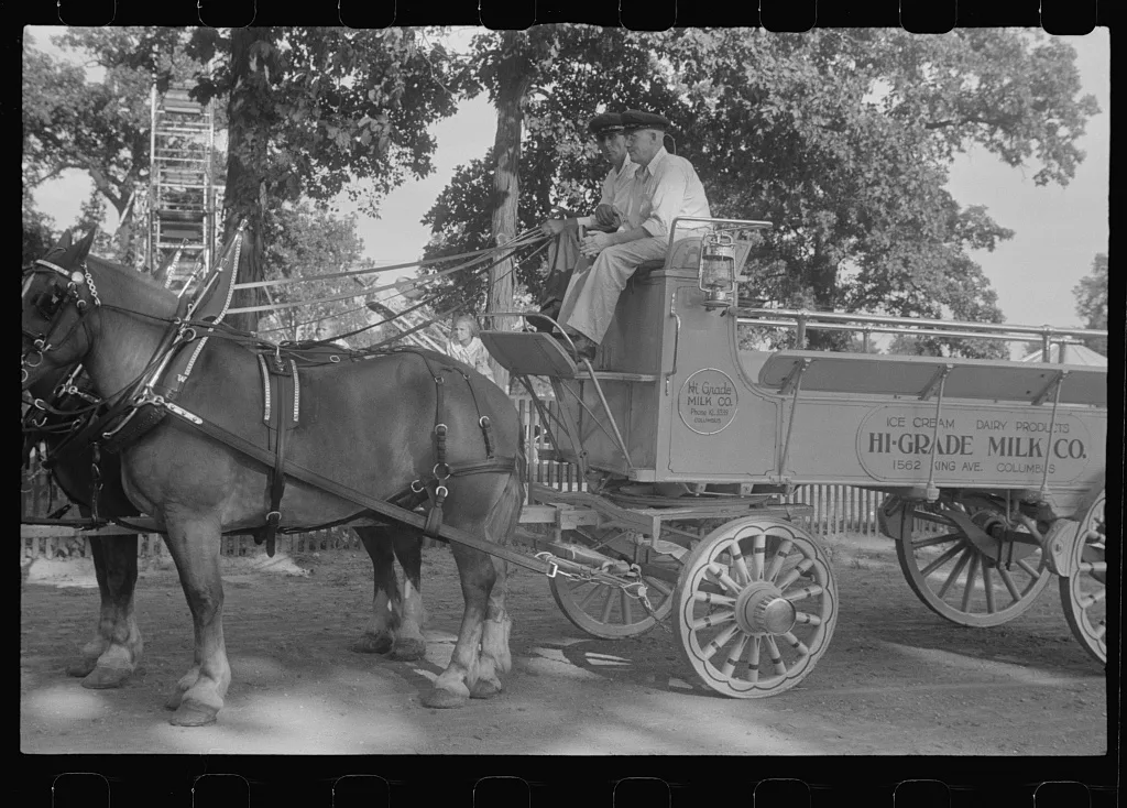 Dairy show horses at county fair, central Ohio, 1938