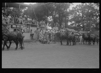 [Untitled photo, possibly related to: Livestock display, county fair,…, Ohio, 1938