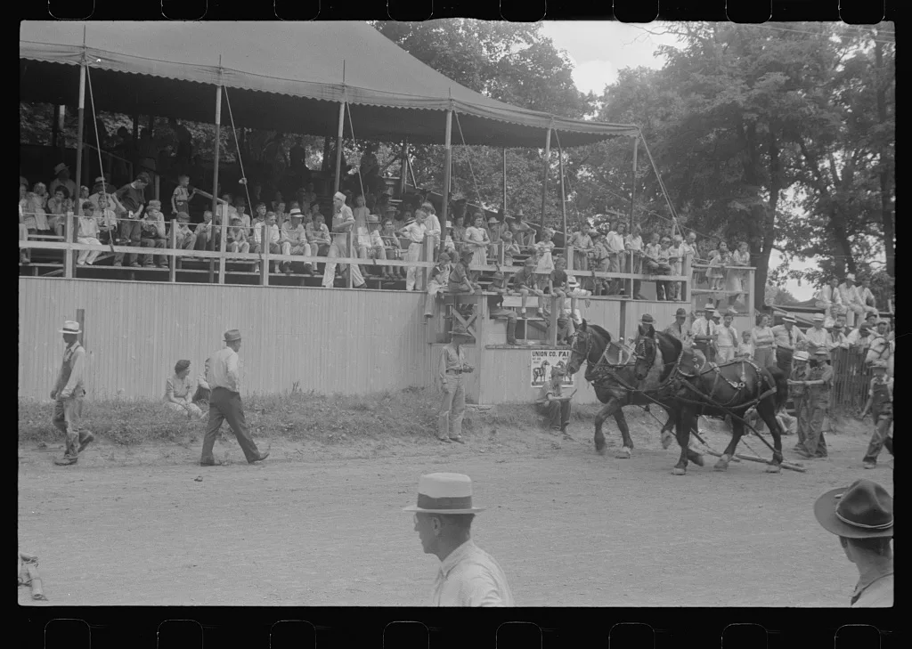 [Untitled photo, possibly related to: Livestock display, Champaign…, Ohio, 1938