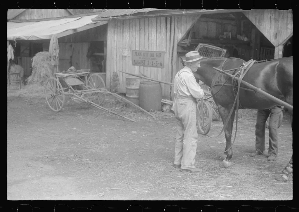 [Untitled photo, possibly related to: Harnessing horse at county fair…, Ohio, 1938