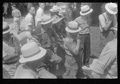 Spectators at public auction, central Ohio, 1938
