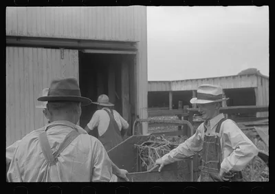 [Untitled photo, possibly related to: Farmers at public auction in…, Ohio, 1938