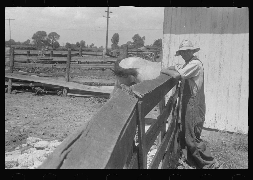 [Untitled photo, possibly related to: Farmers at public auction,…, Ohio, 1938