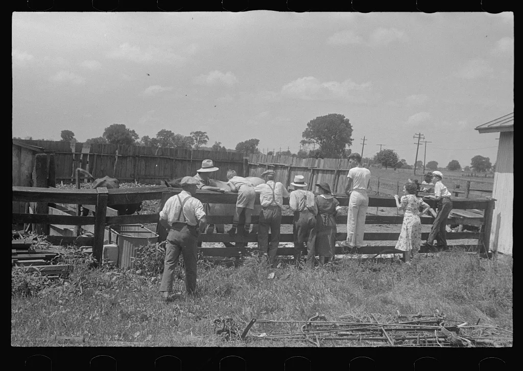 [Untitled photo, possibly related to: Farmers at public auction,…, Ohio, 1938