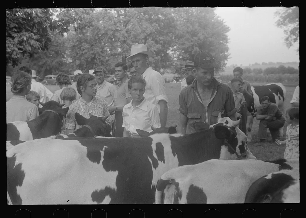 [Untitled photo, possibly related to: At the county fair, central…, Ohio, 1938