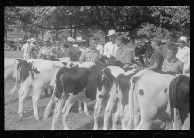 [Untitled photo, possibly related to: At the county fair, central…, Ohio, 1938