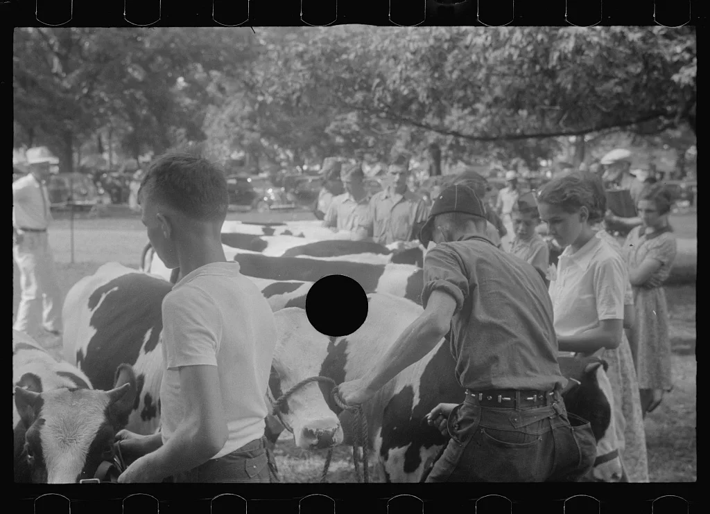 [Untitled photo, possibly related to: At the county fair, central…, Ohio, 1938