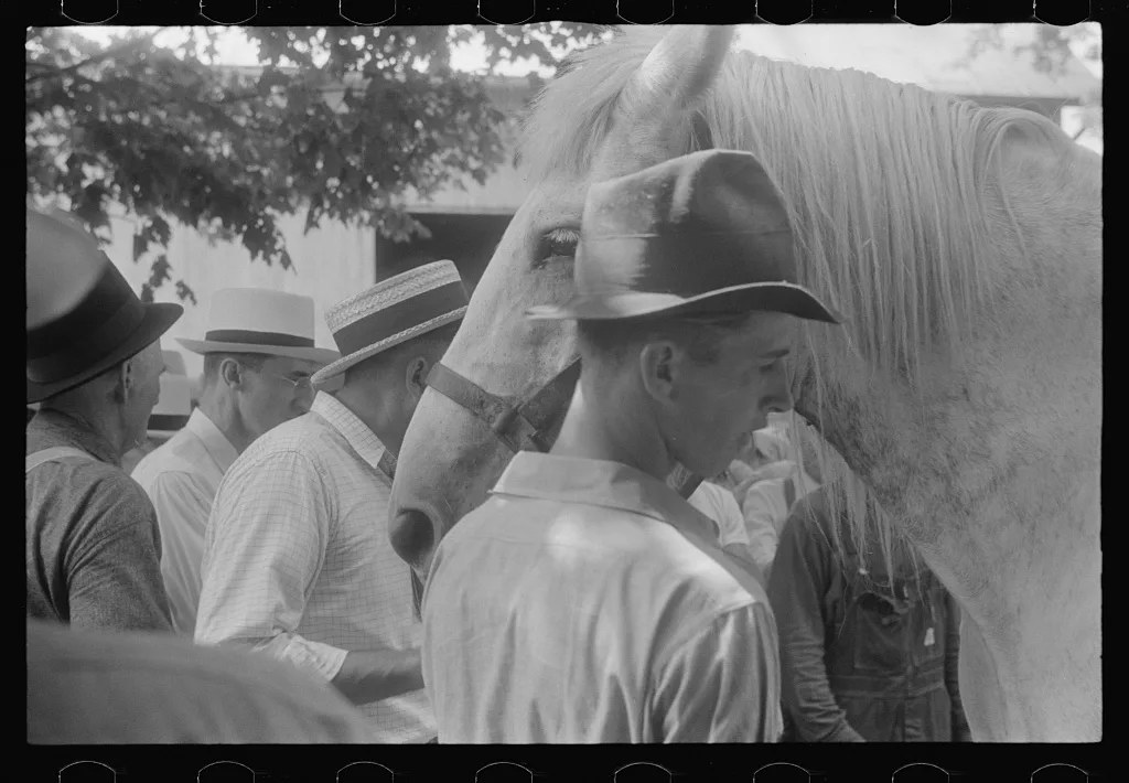 Public auction in central Ohio, 1938