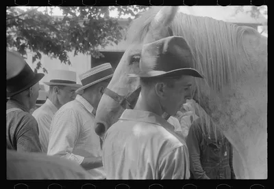 Public auction in central Ohio, 1938