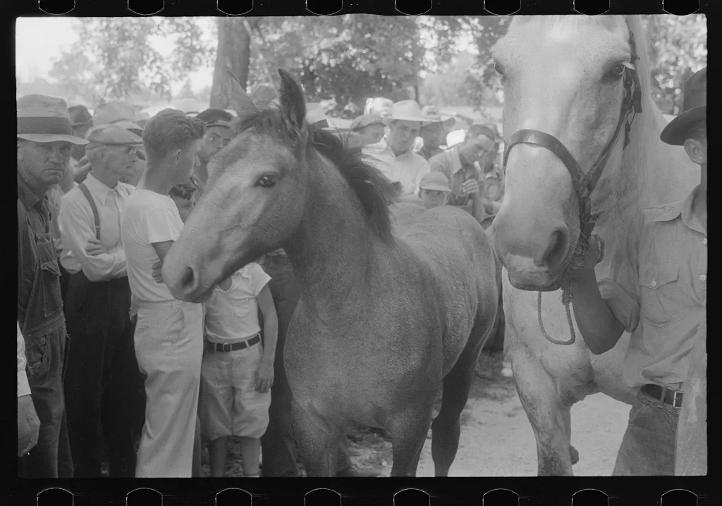 [Untitled photo, possibly related to: Public auction in central Ohio], 1938