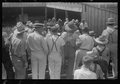 [Untitled photo, possibly related to: Public auction in central Ohio], 1938