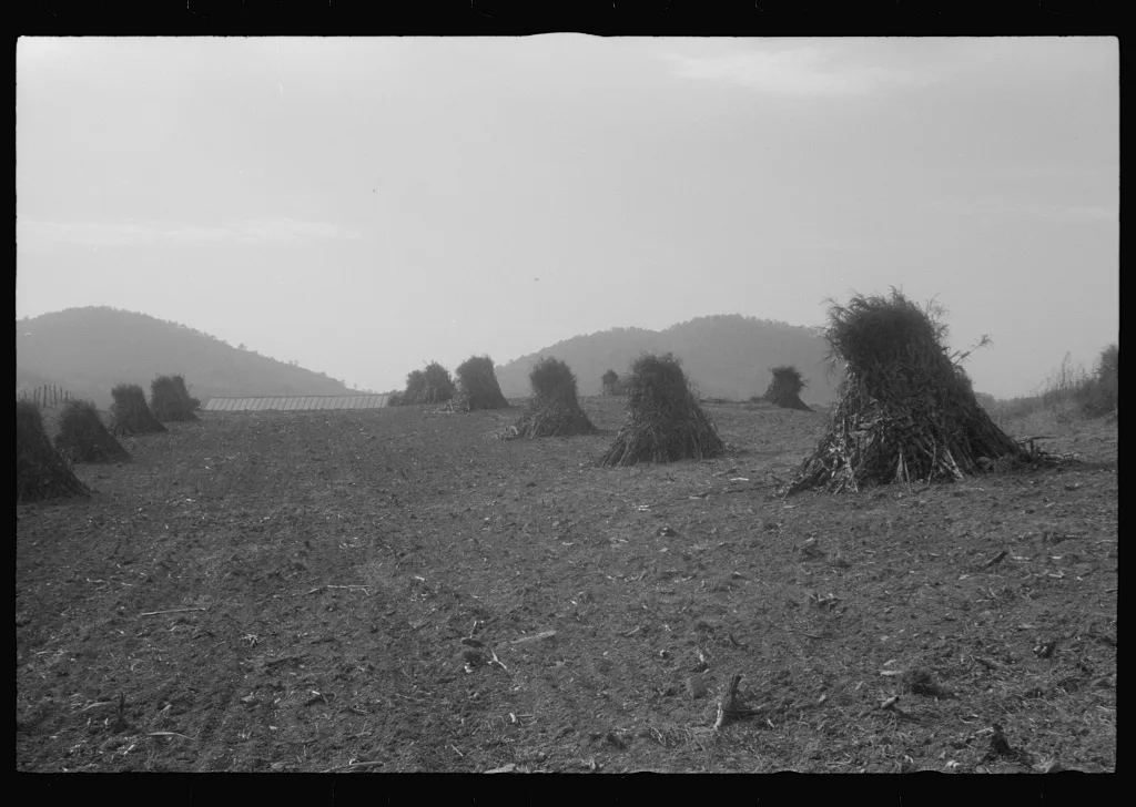 Scenes of the northern Shenandoah Valley, including the Resettlement…, Virginia, 1941
