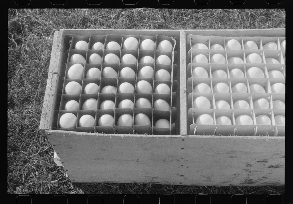 Scenes of the northern Shenandoah Valley, including the Resettlement…, Virginia, 1941