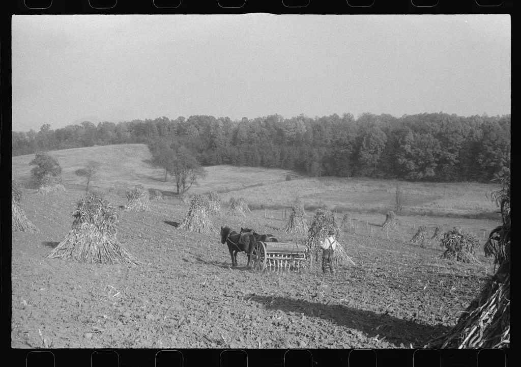 Scenes of the northern Shenandoah Valley, including the Resettlement…, Virginia, 1941