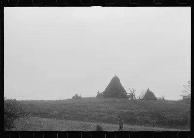 Scenes of the northern Shenandoah Valley, including the Resettlement…, Virginia, 1941