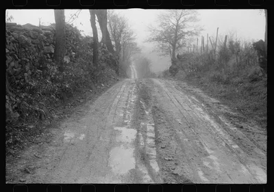 Scenes of the northern Shenandoah Valley, including the Resettlement…, Virginia, 1941