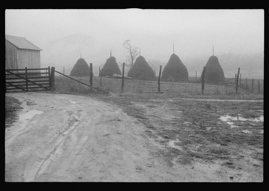 Scenes of the northern Shenandoah Valley, including the Resettlement…, Virginia, 1941
