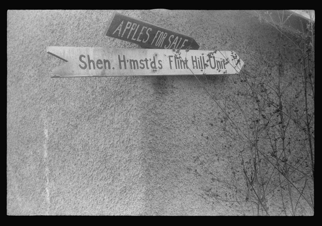 Scenes of the northern Shenandoah Valley, including the Resettlement…, Virginia, 1941