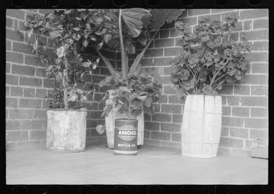 Scenes of the northern Shenandoah Valley, including the Resettlement…, Virginia, 1941
