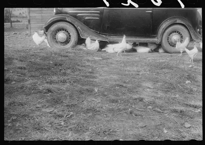 Scenes of the northern Shenandoah Valley, including the Resettlement…, Virginia, 1941