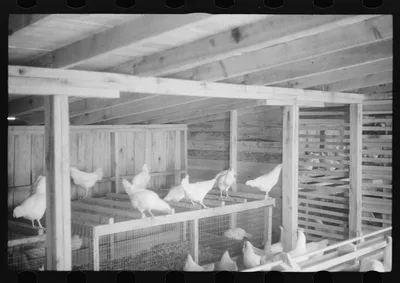 Scenes of the northern Shenandoah Valley, including the Resettlement…, Virginia, 1941