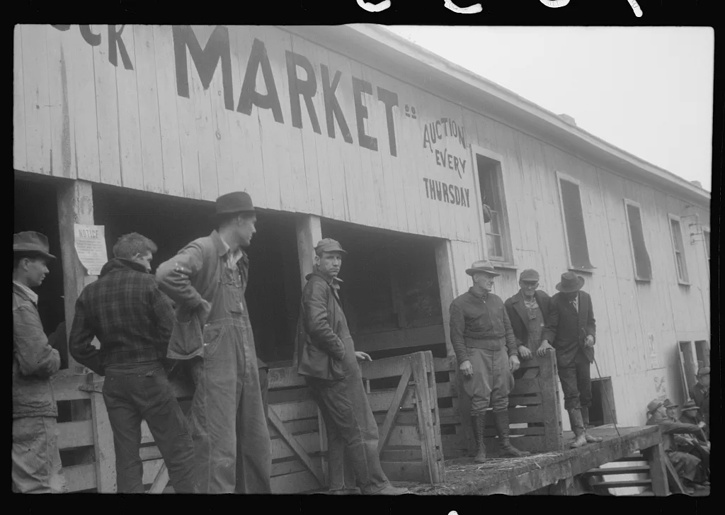 Scenes of the northern Shenandoah Valley, including the Resettlement…, Virginia, 1941