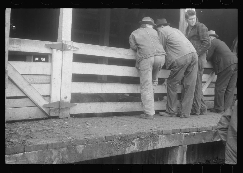 Scenes of the northern Shenandoah Valley, including the Resettlement…, Virginia, 1941