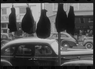 Scenes of the northern Shenandoah Valley, including the Resettlement…, Virginia, 1941