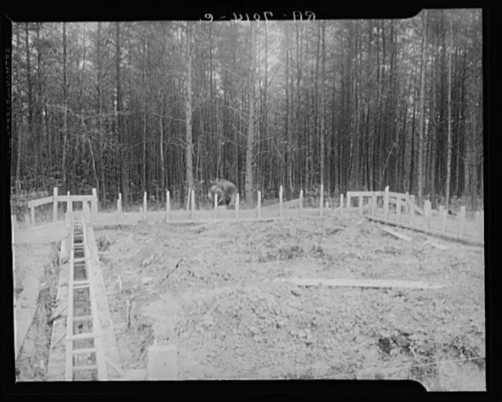 [Untitled photo, possibly related to: Scenes of the northern…, Virginia, 1941